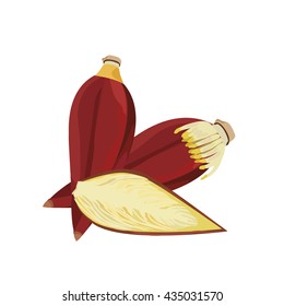 Fresh banana flower