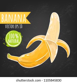 Fresh banana fruit bright sketch style vector. Juicy tropical fruits. Black chalkboard background. Eps 10