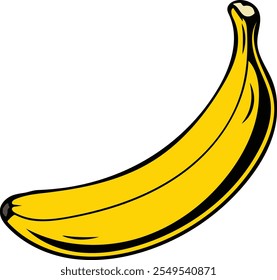 Fresh Banana Fruit Colorful Vector Illustration (Version: 02)