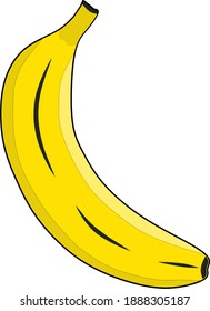 Vector de fruta fresca de plátano para tu negocio