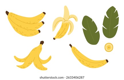 Frutos frescos de banana e folhas isoladas sobre fundo branco. Coleção de peças e fatias. Frutas tropicais, lanche de banana, menu vegetariano.