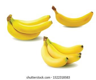 fresh banana on white background. vector illustration