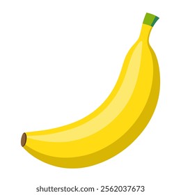 Fresh Banana Vector design. illustration of high quality