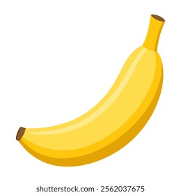 Fresh Banana Vector design. illustration of high quality