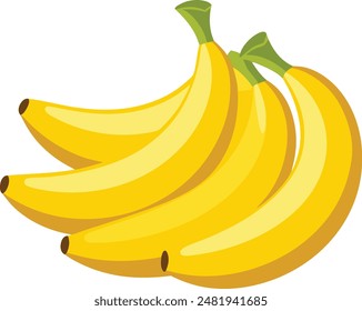 Fresh banana vector , detailed banana illustration, hand drawn banana vector.