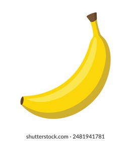 Fresh banana vector , detailed banana illustration, hand drawn banana vector.