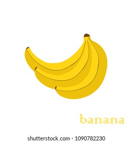 fresh banana  white background, summer fruit, vegan food, Design for textiles, labels, posters. Vector illustration.