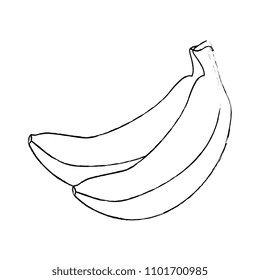 fresh bananas cluster fruit icon