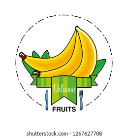 fresh bananas fruit isolated icon