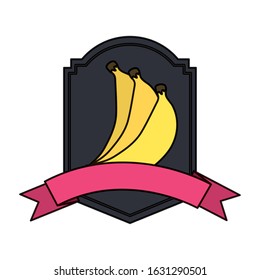 fresh bananas fruits with ribbon frame vector illustration design