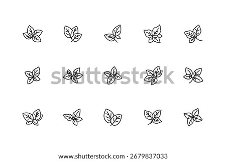 Fresh Basil Leaf, Green Herb Icon, Organic Basil Illustration, Culinary Herb Symbol