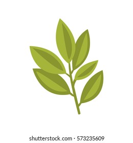 Fresh Basol Plant Herb Primitive Cartoon Icon, Part Of Pizza Cafe Series Of Clipart Illustrations