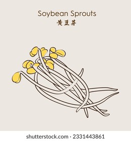 Fresh bean sprouts. Soybean sprouts.  High vitamin vegetable bean sprouts. Vector illustration. - Shutterstock ID 2331443861