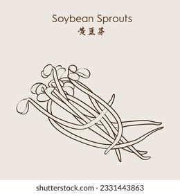 Fresh bean sprouts. Soybean sprouts.  High vitamin vegetable bean sprouts. Vector illustration. - Shutterstock ID 2331443863