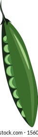 Fresh beans, illustration, vector on white background.