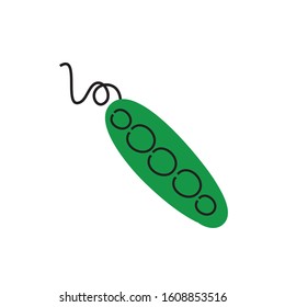 fresh beans vegetable healthy isolated icon vector illustration design