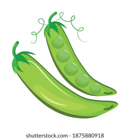 fresh beans vegetables healthy food icon vector illustration design