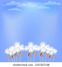 fresh beatiful flower grass vector illustration eps10