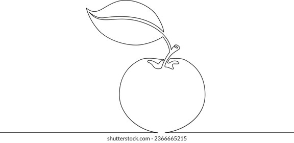 Fresh beautiful apple.One continuous line. Linear. Hand drawn, white background.