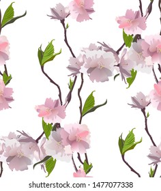Fresh beauty spring flowers seamless pattern. Vector.