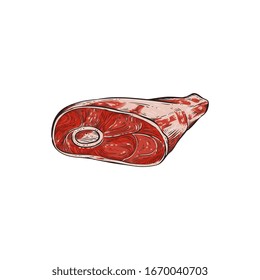 Fresh beef leg with bone color sketch vector illustration isolated on white background. Uncooked piece of cow meat icon for butcher store or food theme design.