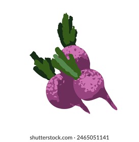 Fresh beet. Beetroot vegetables with green leaves, purple tuber. Natural farm crop. Agriculture harvest. Sugar veggie, organic natural food. Flat vector illustration isolated on white background