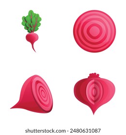 Fresh beet icons set cartoon vector. Whole and chopped beetroot. Ripe farm vegetable