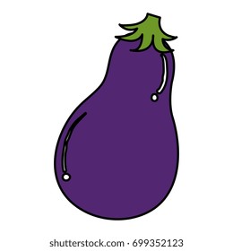 fresh beet isolated icon