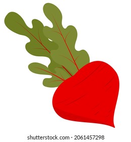 Fresh beet with leaf. Vector illustration. Isolated white background. Juicy beetroot. vegetable. Organic food. Natural Root. Vegetable Ingredient for food.