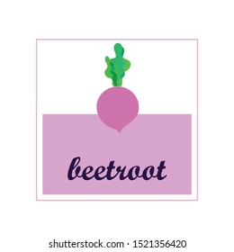 Fresh beet. Organic food poster. Farmer market design. Vector