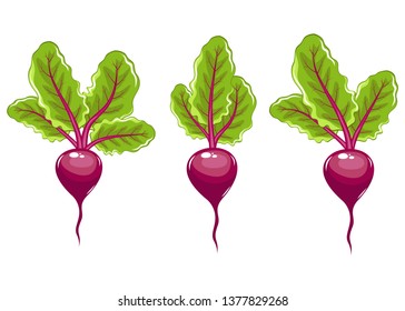 Fresh beet vector design illustration isolated on white background