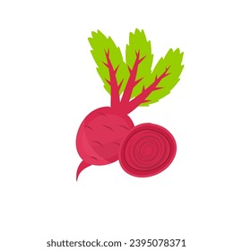 Fresh Beet Vegetable Design Vector