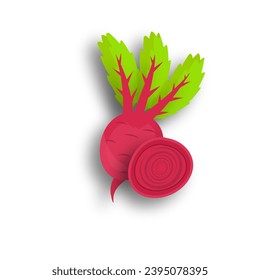 Fresh Beet Vegetable Design Vector