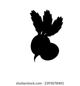 Fresh Beet Vegetable Design Vector