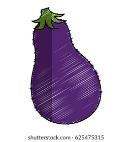 fresh beet vegetable icon