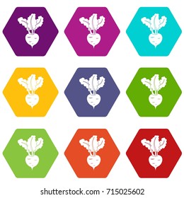 Fresh beetroot icon set many color hexahedron isolated on white vector illustration