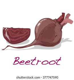 Fresh beetroot isolated on white. Vector.