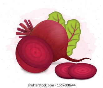 Fresh beetroot vector illustration on the white background