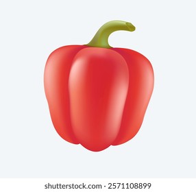 Fresh bell pepper 3D illustration, fresh vegetarian product. Whole bell pepper organic vegetables vegetarian food. Vector illustration 3D isolated on white background