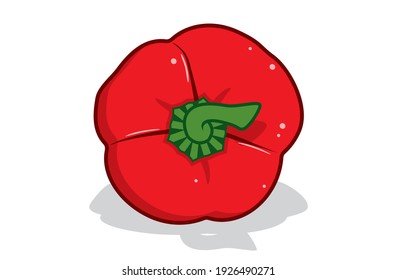 Fresh bell pepper. Vector paprika. Red sweet pepper. Outline drawing on white background