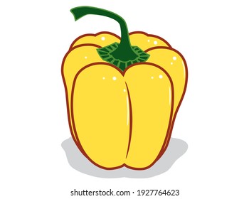 Fresh bell pepper. Vector paprika. Yellow sweet pepper. Outline drawing on white background