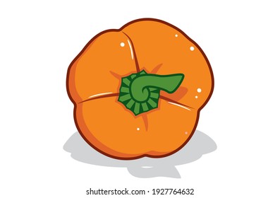 Fresh bell pepper. Vector paprika. Orange sweet pepper. Outline drawing on white background