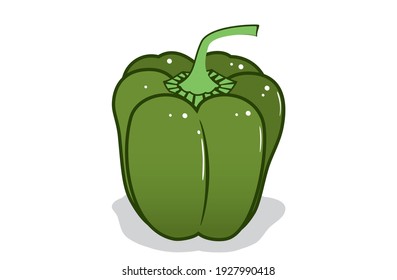 Fresh bell pepper. Vector paprika. Green sweet pepper. Outline drawing on white background