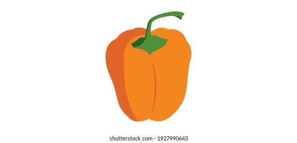 Fresh bell pepper. Vector paprika. Orange sweet pepper. Flat design monochrome drawing on white background