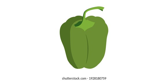 Fresh bell pepper. Vector paprika. Green sweet pepper. Flat design monochrome drawing on white background