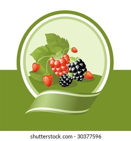  Fresh Berries Illustration, Vector Label