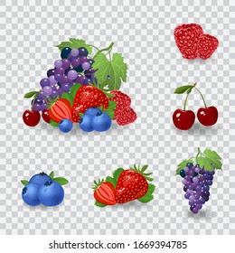 Fresh berries vector illustration. Healthy diet concept. Organic berries. Mix of berries on white background vector illustration. Fresh berries concept