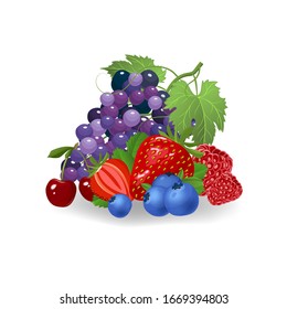 Fresh berries vector illustration. Healthy diet concept. Organic berries. Mix of berries on white background vector illustration. Fresh berries concept