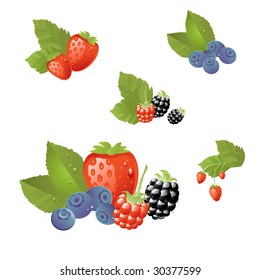  fresh berries vector illustration, isolated on white, grouped and layered for easy editing.