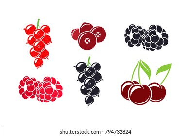 Fresh berries vector. Isolated raspberry blackcurrant cherry cranberry and blackberry on white background. Vegetarian food